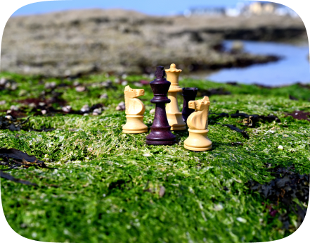 various-chess-pieces-in-front-of-th-solutions